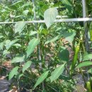 덕분농장 이미지