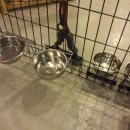 아이러브독도 이미지