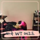 에스비 아쿠아 | 마곡탈모 WT메소드 강서마곡점 30대여성 후기