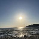 (한결)통아구찜 이미지