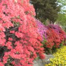 광명 시민운동장 이미지