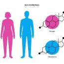 신월제일의원 이미지