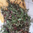 (주)한주 이미지