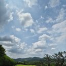 오버힐(OVER HILL) | [대전 근교 골프장 추천] 롯데스카이힐부여cc 라운딩 후기 ⛳ 코스 공략부터 꿀잼 홀까지 완벽 리뷰!