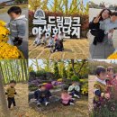 드림파크 Daum카페