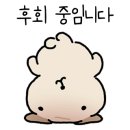 카페세솔