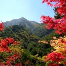 일월산 - 서산시 남부순환로 1033 | 일월산