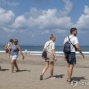 발리 이미지