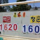 익산초등학교 이미지