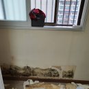 한성기린 이미지