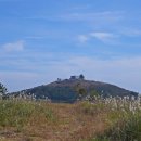 모슬