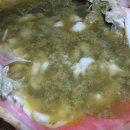 장생포고래집 이미지