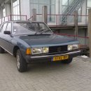 타이어대통령 이미지