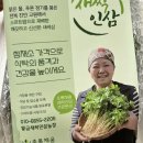 진안고원 새싹삼