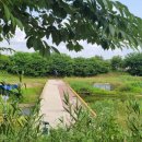 삼원로-2 이미지