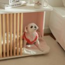 우드 너 이미지