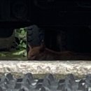 정환농장 | 좋아하는 것을 계속 좋아하세요 ˁˈᵕˈˀ ༝ ࣪ ♡