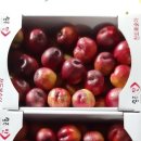 신선농장 이미지