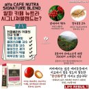 엔잭타커피