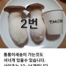 공오이이 이미지