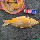 백달낚시터 이미지