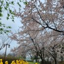 능수어린이집 이미지