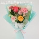 스노우폭스플라워 이미지