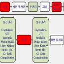 케이스 : 아무리 강조해조 지나치지않는 만성재발성결석증의 슈나우져 이미지