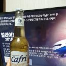 얼라이브 2015 이미지