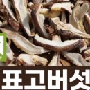 드루와농장 이미지