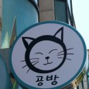양이컨츄리
