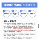 [대만 여행]도시락와이파이 무제한 데이터 3박4일 내돈내산 사용 후기_인천공항 수령