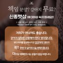 캔디멍 | 다산강아지분양 말티즈 🍬캔디🍬