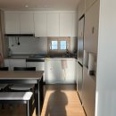 NR-3[평화로]-하-11 | 1월도 절반이 지나고