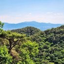 성전암등산로 이미지