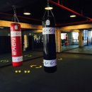 신진수 복싱클럽 이미지