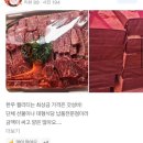 장기식육점 이미지