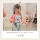 원주 체험형 키즈카페 실내물놀이 가능한 더스완