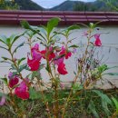 단톡방의 초등 친구 이미지