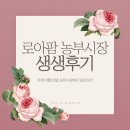 에이플러스팜 | 거제 농부시장 및 히카마차 파인애플다쿠아즈 후기