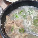 청도돼지국밥 | 부산 기장 일광 로컬 돼지국밥 맛집 / 청도돼지국밥 내돈내산 솔직후기