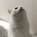 오늘도이모네 이미지