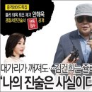 ‘코끼리는 말하지 마’와 안해욱 구속영장 청구 포기 이미지