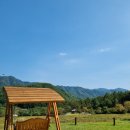 솔바람펜션 | 봉화 펜션 추천, n번째 내돈내산 솔바람펜션 찐 후기