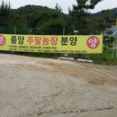 내각2리 이미지