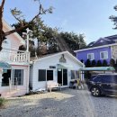 더그루 펜션 이미지