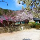 Grand hanok 이미지