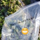 용운1농장 이미지