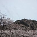 UR(공주시)-[동학사1로]-상-11 | 알레버스 공주 계룡산 후기