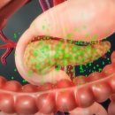 건강근력운동 이미지